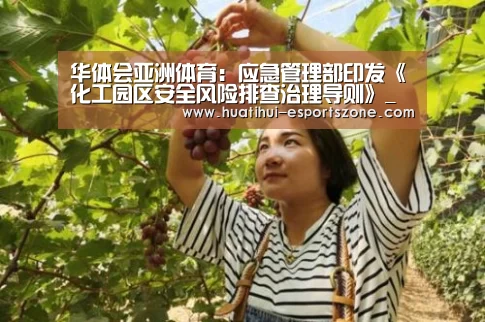 华体会亚洲体育:应急管理部印发《化工园区安全风险排查治理导则》_政策法规_新闻_矿道网(图3) 华体会电竞竞猜