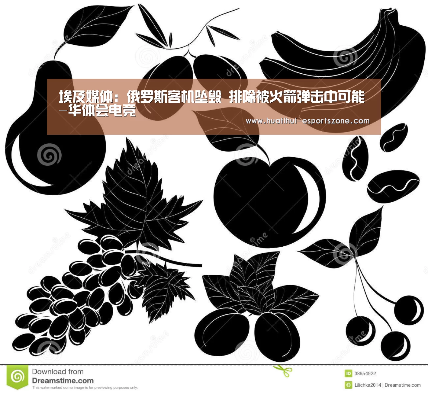 埃及媒体:俄罗斯客机坠毁 排除被火箭弹击中可能-华体会电竞(图2) 华体会电竞竞猜